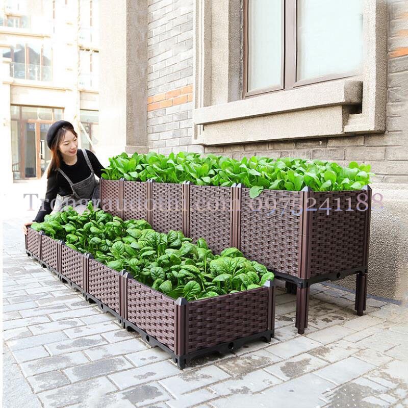 Chậu ghép trồng rau 40 (chậu thông minh lắp ghép) giá tốt nhất